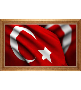 ALTIN ÇERÇEVELİ PASPARTULU TABLO CR126