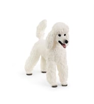 Schleich Kaniş 13917