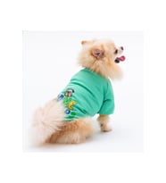 Pawstar Kedi ve KÜÇÜK Köpek Mint Bone Hunter Sweat XL Sırt38cm Göğüs55cm Boyun34cm