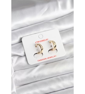 14K Gold Renk Kaplama CM Kadın Küpe - TJ-BKP11401