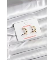 14K Gold Renk Kaplama CM Kadın Küpe - TJ-BKP11401