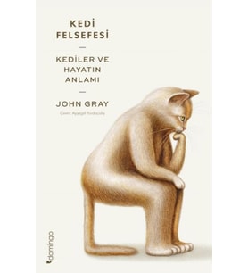 Kedi Felsefesi