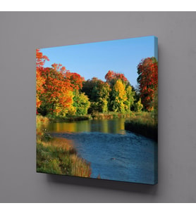 ORMANLA DERENİN AHENGİ KANVAS TABLO 25x25cm (Karışık)
