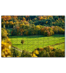 Cakapuzzle Ormanın Ortasındaki Yemyeşil Arazi  Ağaç Puzzle Yapboz MDF (Ahşap) (120 Parça)