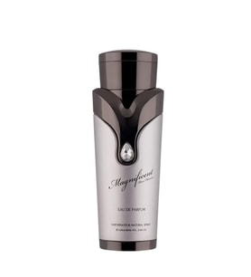 Armaf Magnificent Pour Homme EDP 100 ml Erkek Parfümü