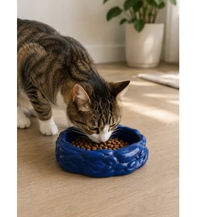 Eko Form Model Beton Kedi Köpek Mama ve Su Kabı (16cm*16cm*5.5cm) - Lacivert