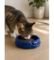 Eko Form Model Beton Kedi Köpek Mama ve Su Kabı (16cm*16cm*5.5cm) - Lacivert