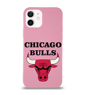 Apple iPhone 12 Uyumlu Lansman Kılıf Chicago Bulls Tasarımlı Altı Kapalı İçi Kadife Kaplı  Kapak (Şeffaf)