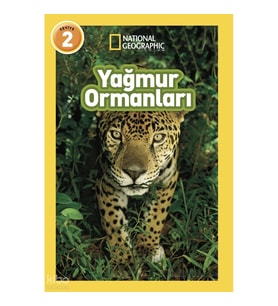 Yağmur Ormanları