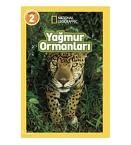 Yağmur Ormanları