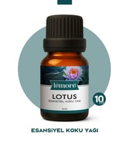 Lotus Koku Yağı Buhurdanlık Yağı Difüzör Esansı Küre 10ml