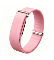 Google Fitbit Air Zore KRD-162 Silikon Kordon