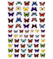 Sticker Kabartmalı A4 Boyutunda Stiker Defter, Planlayıcı Etiket-(lim542) - Renkli Kelebek