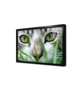Kedi Çerçeveli Cam Tablo