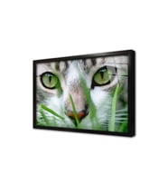 Kedi Çerçeveli Cam Tablo