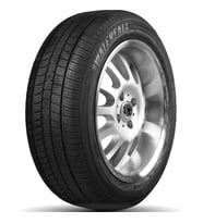 Waterfall 205/55R16 94H XL Quattro 4Seasons 4 Mevsim Lastiği (2024)