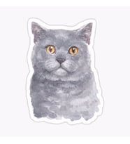British Shorthair Kedi Araba Oto Sticker Yapıştırma Etiket 17CM z3