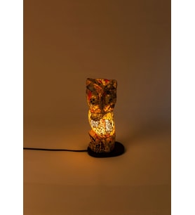 Lumino Owl Gustut (Çok Renkli)