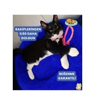 Mavi Peluş Wellsoft Kedi/Köpek Yatağı, Boncuk Elyaflı, Rahat ve Sıcak