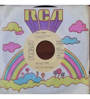Tony Lordi Rollin' Home 45lik Plak (Karışık)