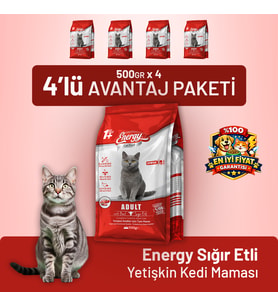 Sığır Etli Yetişkin Kedi Maması - 4 Adet