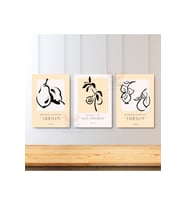 3'lü Set Kanvas Tablo Minimalist Boho Modern Sanat Botanik Koleksiyon Duvar Tablosu Kanvas Tablo