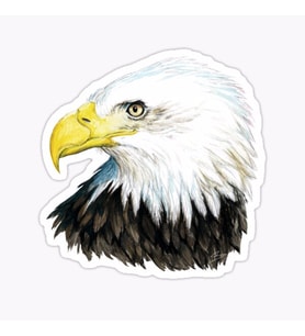 Araba için Kartal Oto Sticker Yapıştırması Etiket  17CM a2