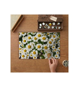 Papatyalar - Habi Bahçesi Tasarımı 240 parça Ahşap Puzzle Ahşap Kutuda MP05427