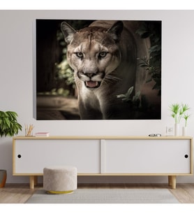 Puma Dekoratif Kanvas Tablo