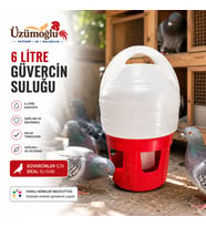 ÜZÜMOĞLU 1 ADET 6 Litre Güvercin Suluğu 2 Tırnaklı Kilit Sistemli Büyük Kapasiteli Güvercin Su Kabı 38 cM