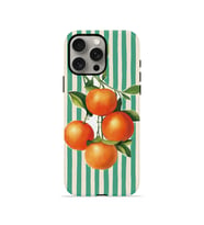 iPhone 15 Pro Max Vorian Çift Katmanlı Kılıf Italian Orange Orchard