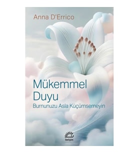 Mükemmel Duyu