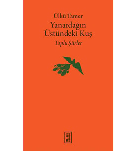 Yanardağın Üstündeki Kuş (Ciltli) Ülkü Tamer