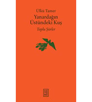 Yanardağın Üstündeki Kuş (Ciltli) Ülkü Tamer