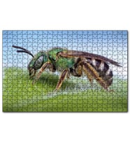 Cakapuzzle Yaprağın Üzerindeki Yaban Arısı Makro Çekim  Puzzle Yapboz MDF (Ahşap) (120 Parça)