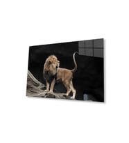 Aslan Cam Tablo 4mm Dayanıklı Temperli Cam (Çok Renkli)