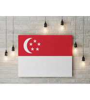 Singapur Bayrağı Kanvas Tablo 40x55cm Dekoratif Tablo