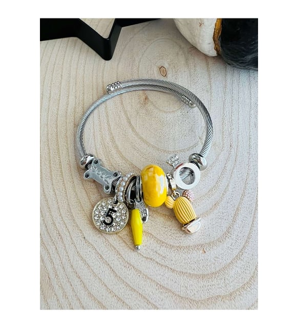 GM RENK SARILI KAKTS PANDORA ACR2281