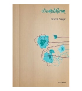 Divaneliklerim