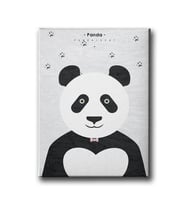 Panda Tablo MİND523
