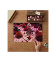 Kelebek ve Pembe Ekinezya Çiçekleri Tasarımı 240 parça Ahşap Puzzle Ahşap Kutuda MP03926
