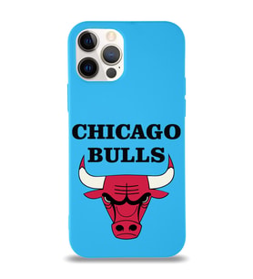 Apple iPhone 12 Pro  Lansman Kılıf Chicago Bulls Tasarımlı Altı Kapalı İçi Kadife Kaplı  Kapak (Şeffaf)