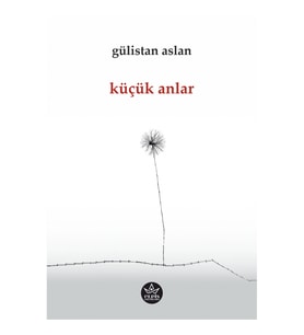 Küçük Anlar