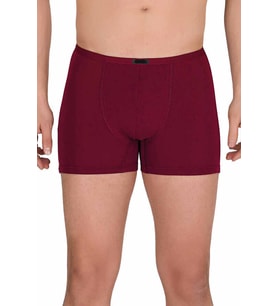 Erkek Modal Boxer Short Bordo 4488B
