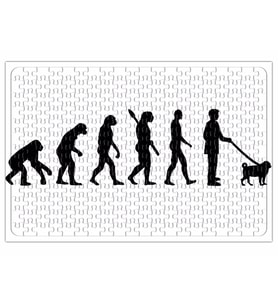 Evolution Pug Evrim Köpek Puzzle 240 Parça Yapboz