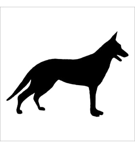 KÖPEK FOLYO STİCKER 160cm Uzunluk (Karışık)