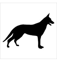 KÖPEK FOLYO STİCKER 160cm Uzunluk (Karışık)