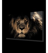 Aslan Hayvan Cam Tablo 4mm Dayanıklı Temperli Cam