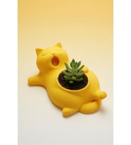 MYCRAFT3D Sevimli Kedi Saksı  Dekoratif Kedi Figürlü Çiçeklik  Masa Üstü Dekoratif Saksı  Mini Doğal Yaşam Alanı
