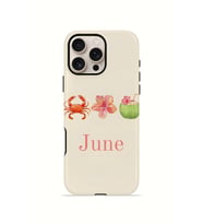 iPhone 16 Pro Max Vorian Çift Katmanlı Kılıf June Seaside